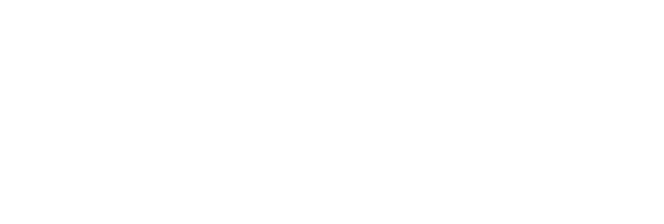 PHSU Journal Logo (white)